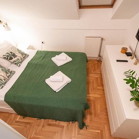 Spacious 1-Bedroom Apartment Novi Sad Exteriör bild