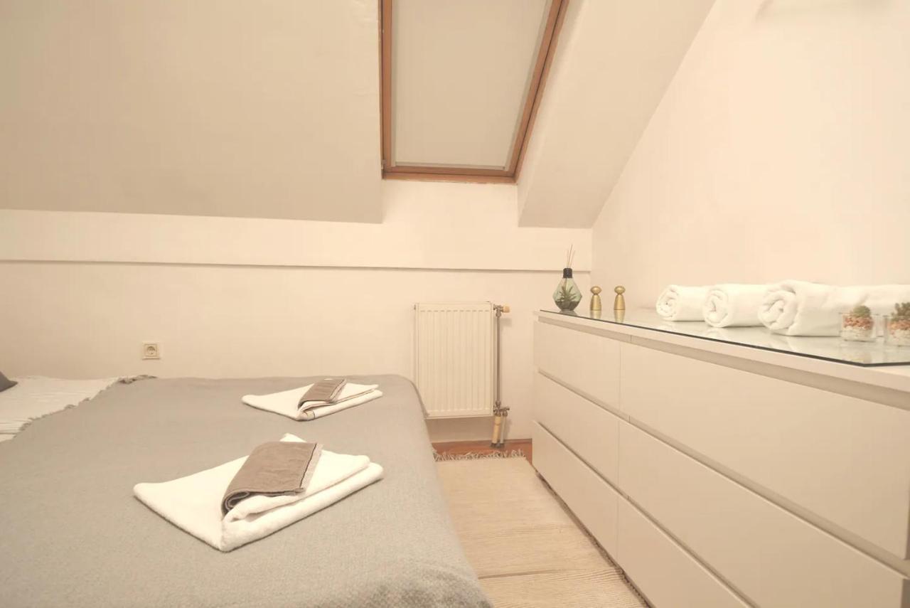 Spacious 1-Bedroom Apartment Novi Sad Exteriör bild