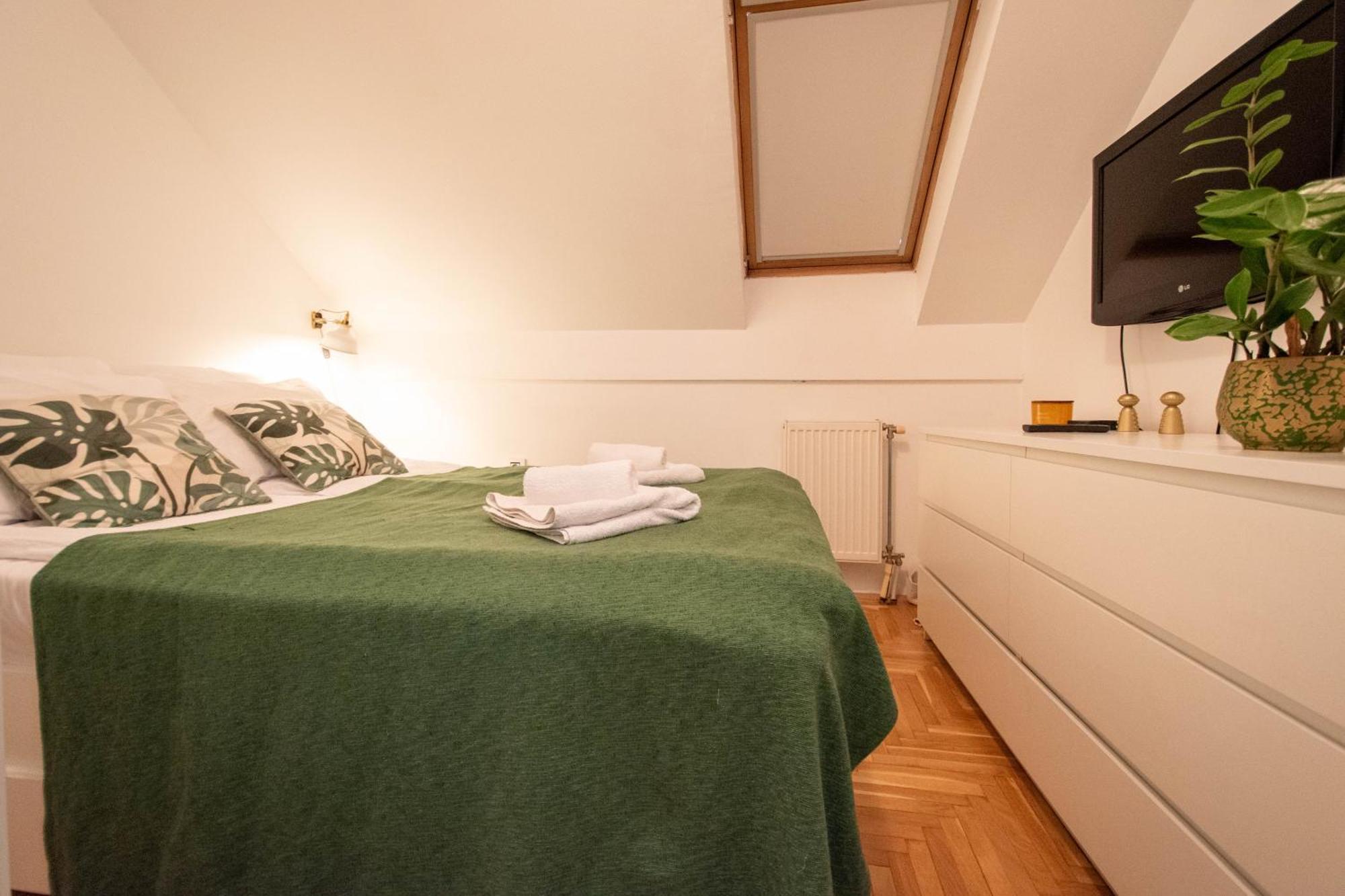 Spacious 1-Bedroom Apartment Novi Sad Exteriör bild